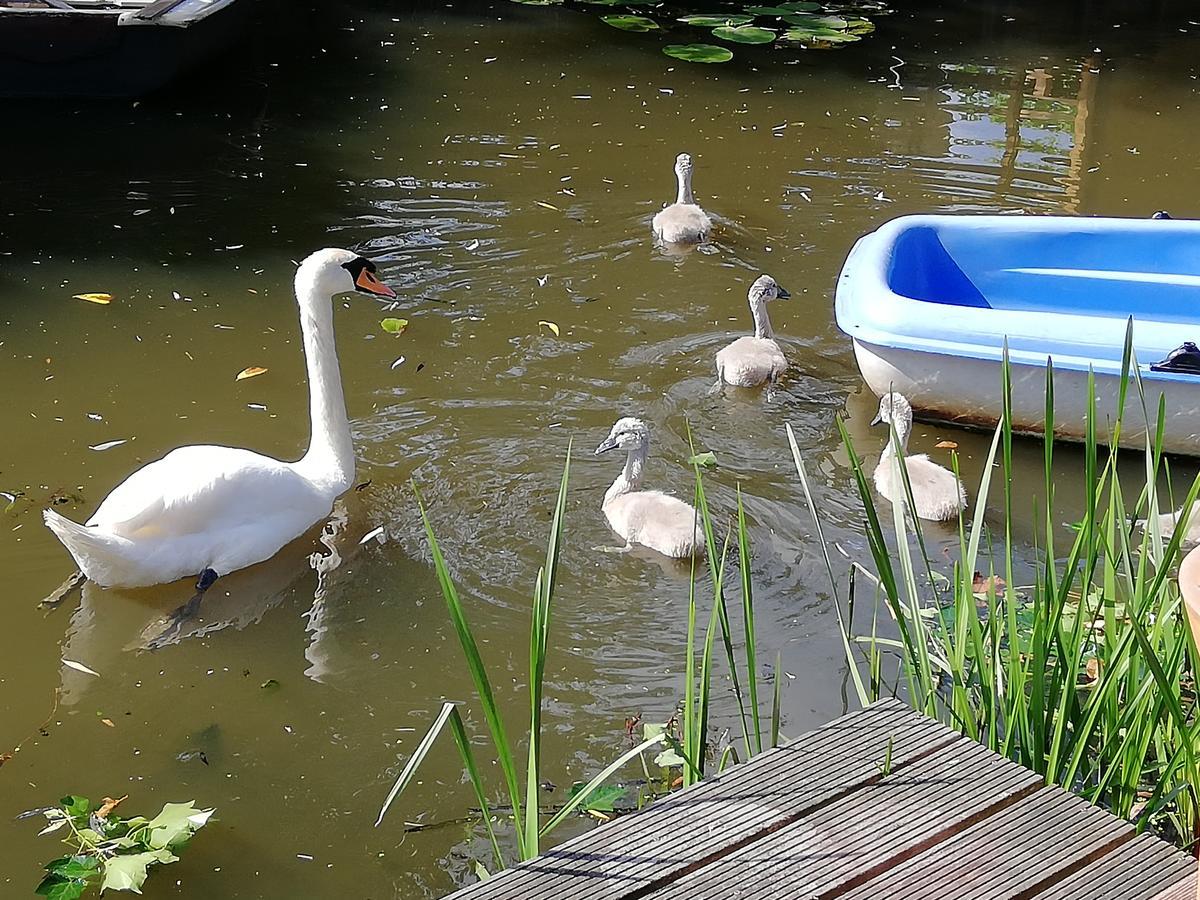 Apartment Canal Garden Staywell *