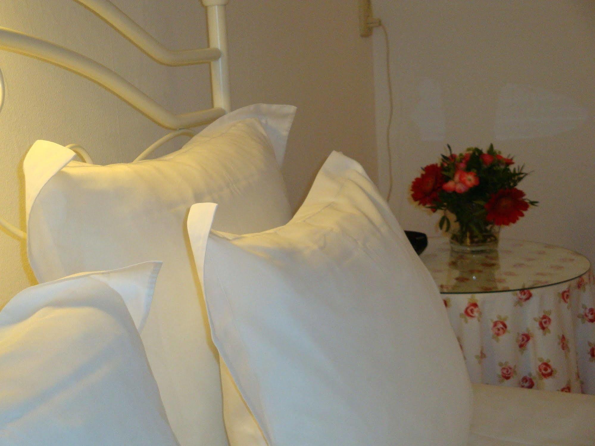 Bed And Breakfast Amsterdam 3* Amsterdam