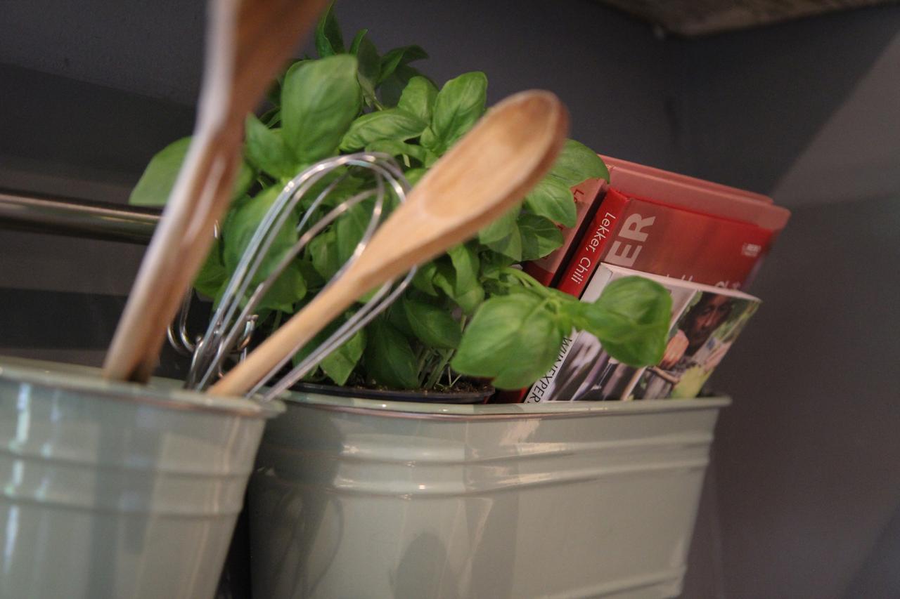 De Greenhouse Séjour chez l'habitant Amsterdam