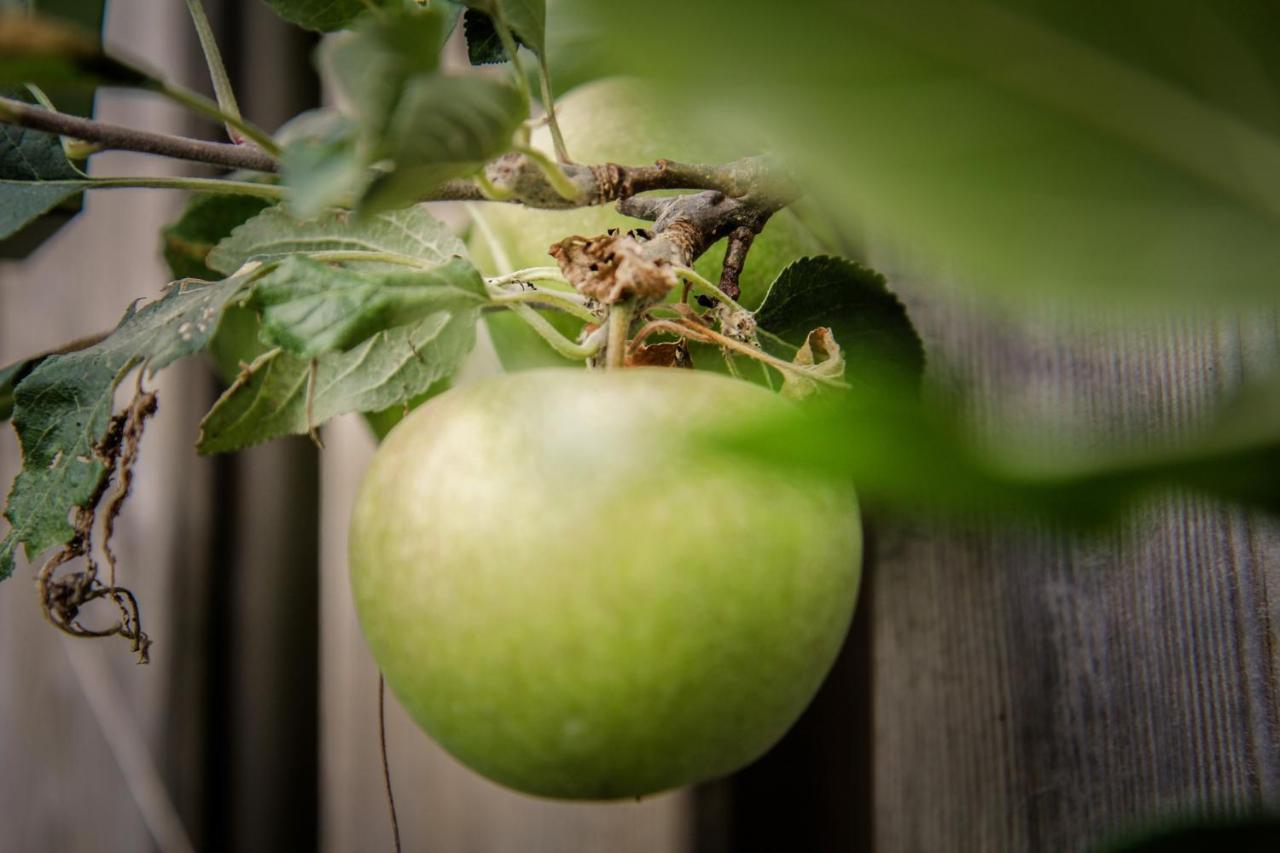 Séjour chez l'habitant De Greenhouse