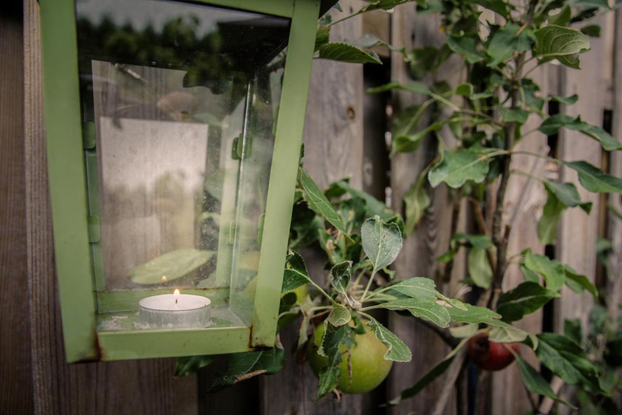 De Greenhouse Séjour chez l'habitant