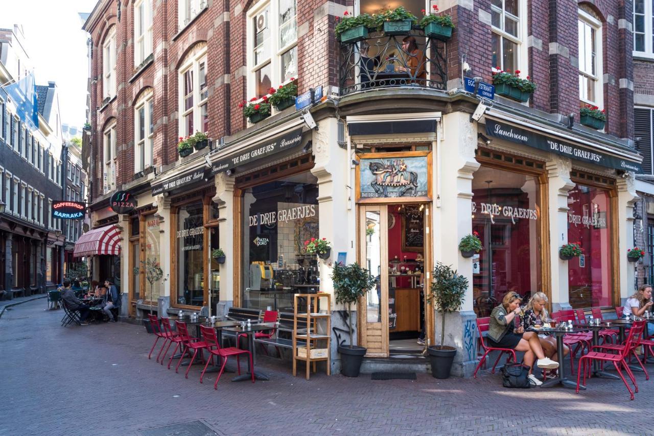 Luxury Large Morningstar * Amsterdam