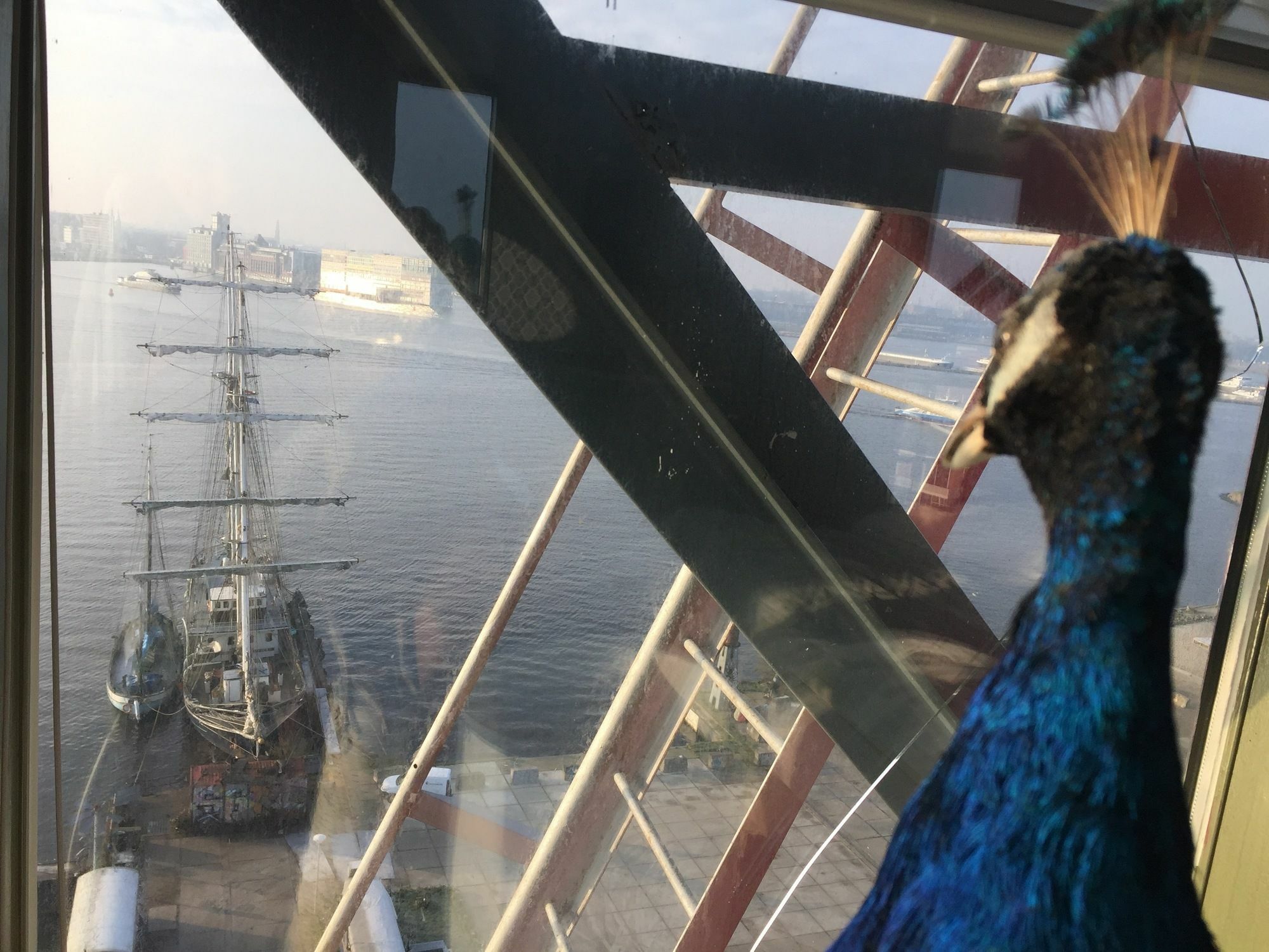 Crane Faralda 5* Amsterdam