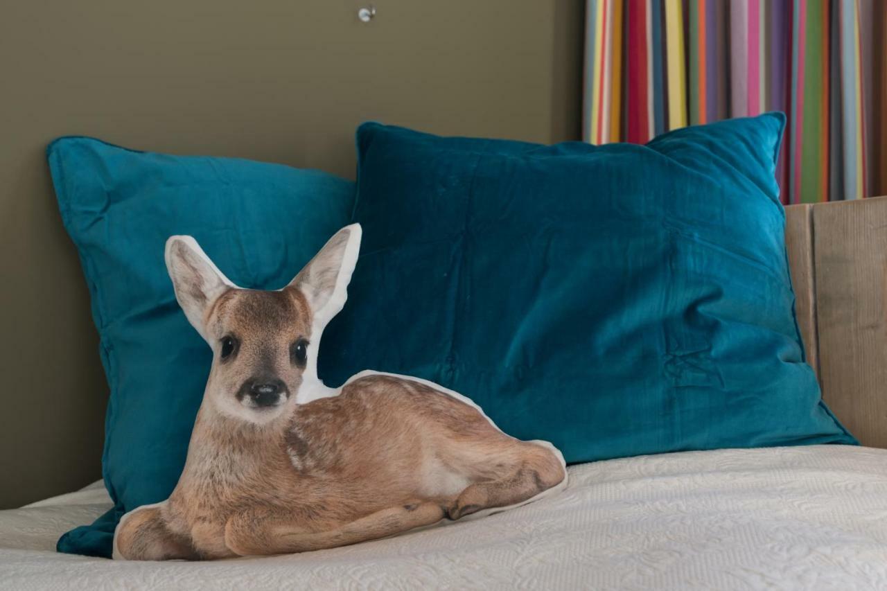 Artis Zoo Studio Accommodatie bij particulieren