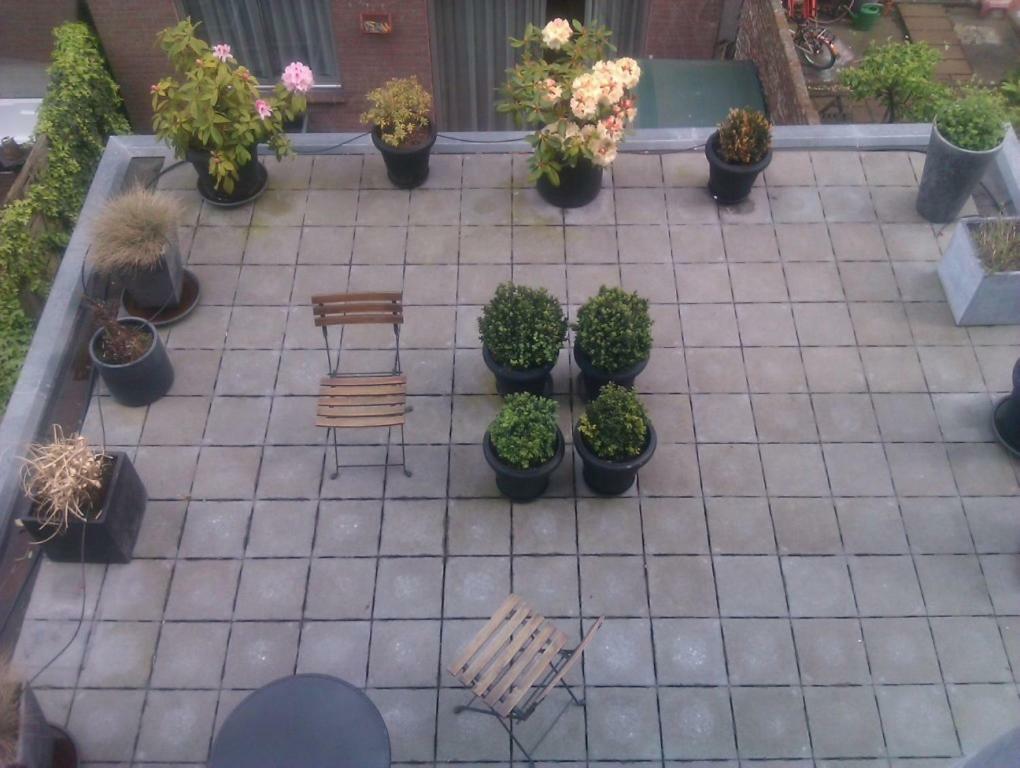 Db's * Amsterdam