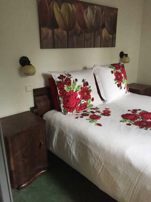 Bed & Breakfast Noorderpark