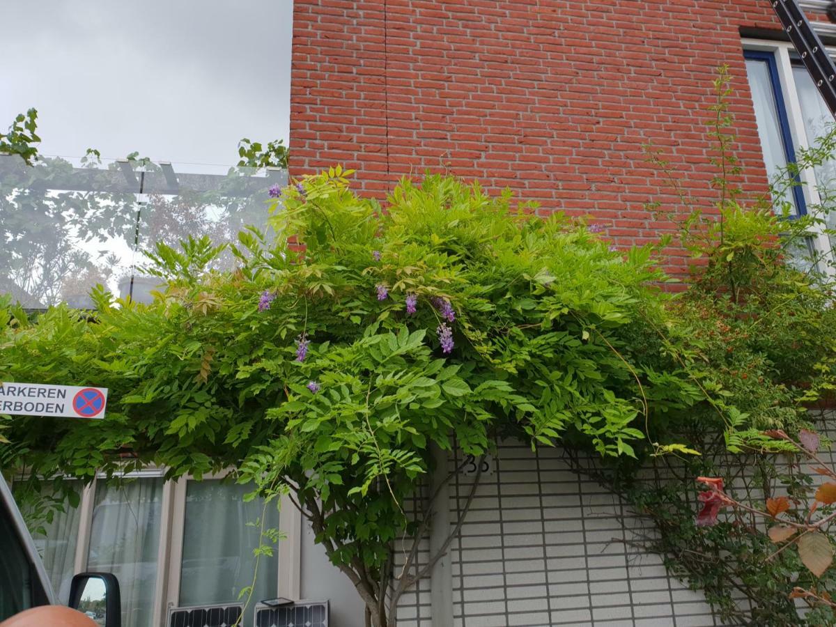 Johan's B&b, Dakterras & Goedkoop Parkeren - Sinds 2014 Privatunterkunft