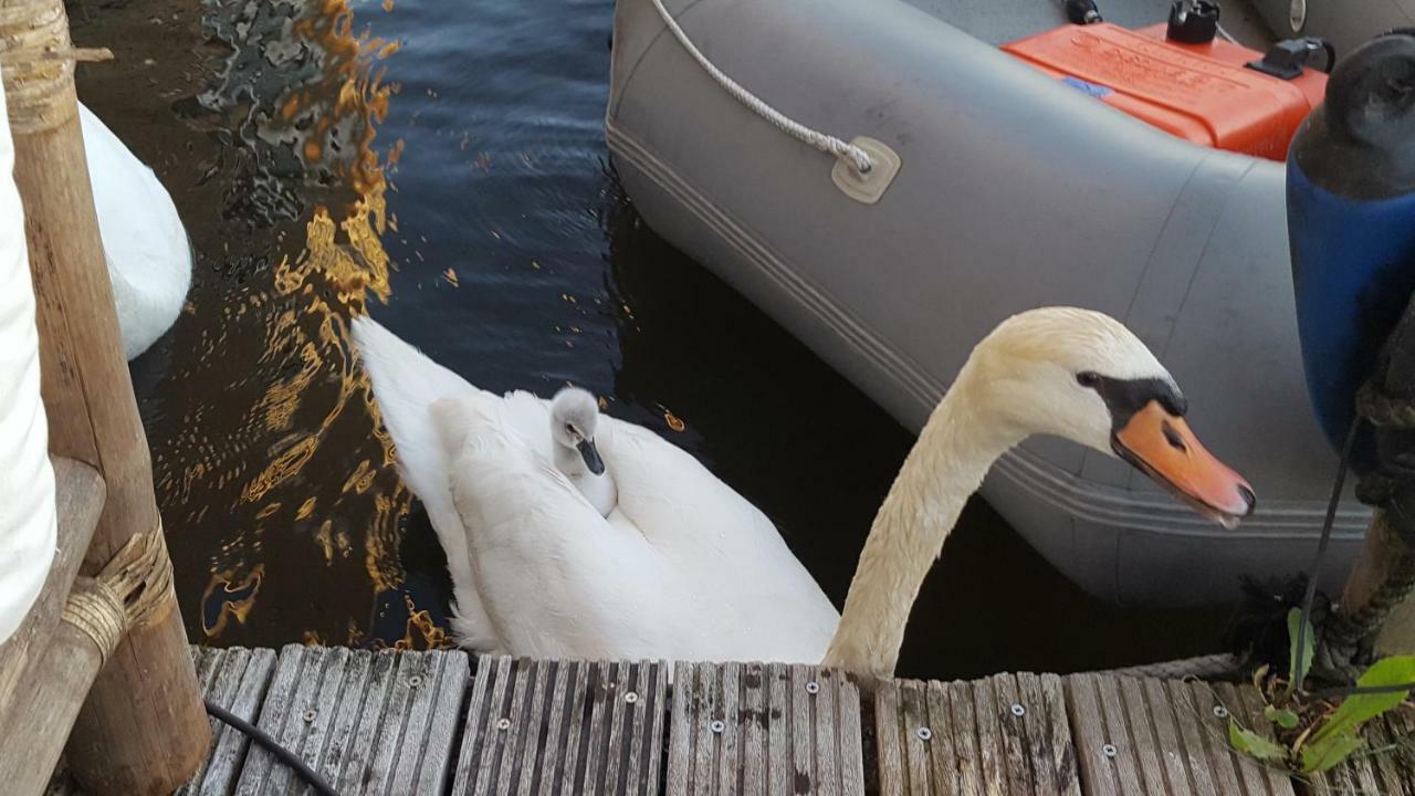 Séjour chez l'habitant Aquarius