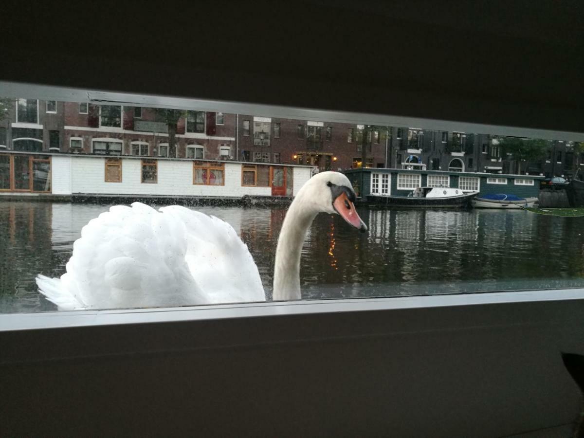 Bateau-hôtel Luxurious 110m² 3br Houseboat In Centre! *