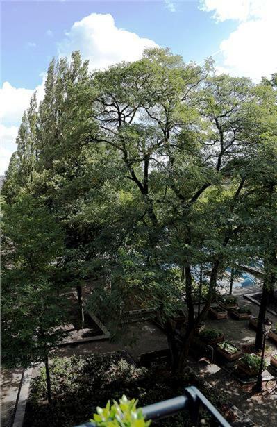 Homestay Ecofriendly Close To Center *