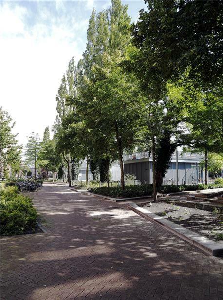 Ecofriendly Close To Center Homestay Amsterdam