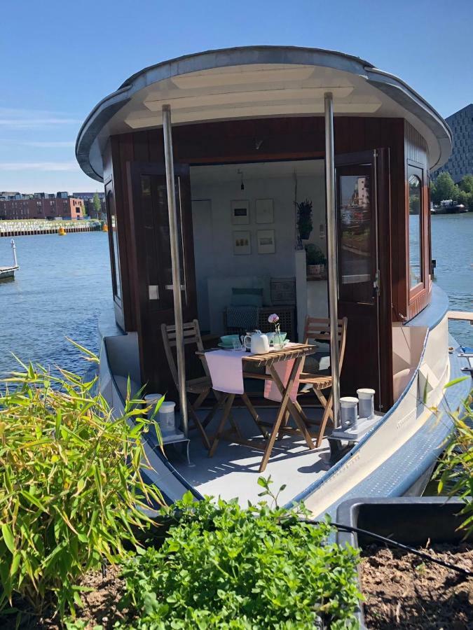 Houseboat Ms Rhy Blitz *