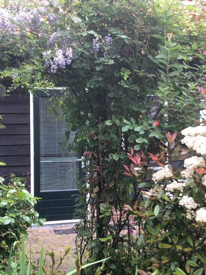 Bed & Breakfast B&B Bloom Amsterdam