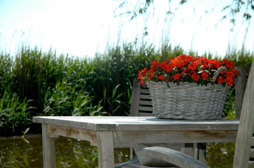 Country Hébergement de vacances *