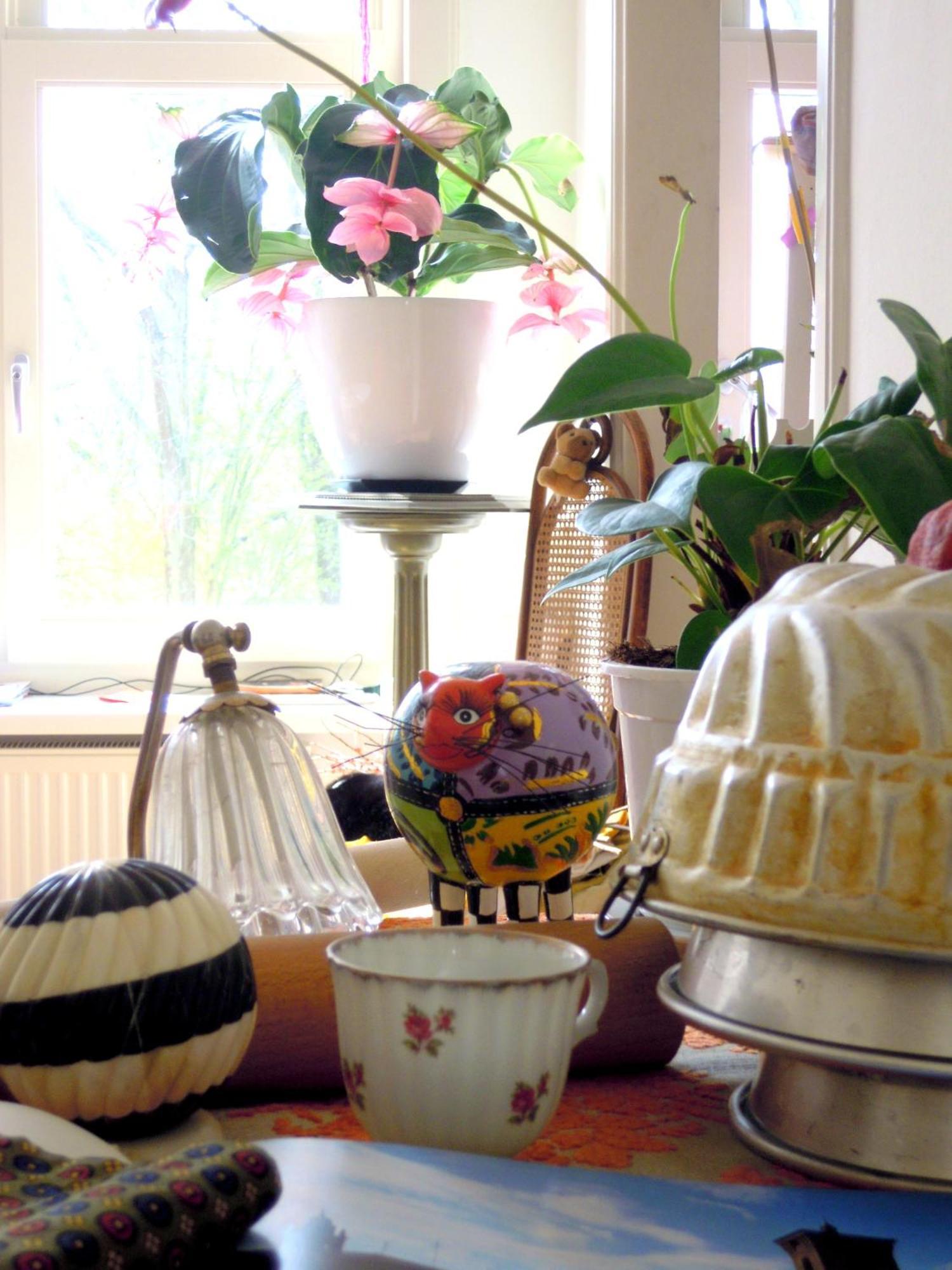 Bed and breakfast Missortelia