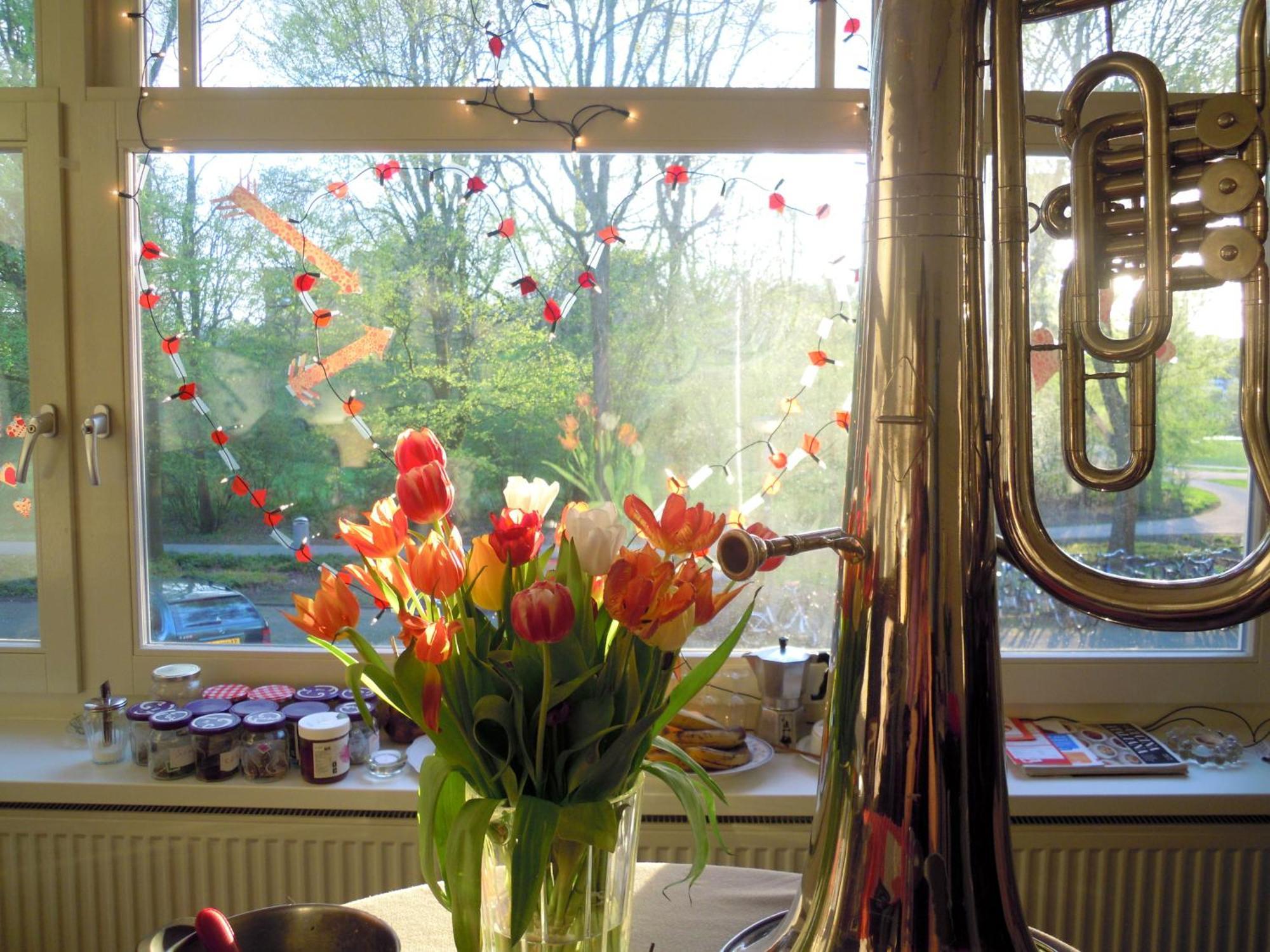 Bed and breakfast Missortelia