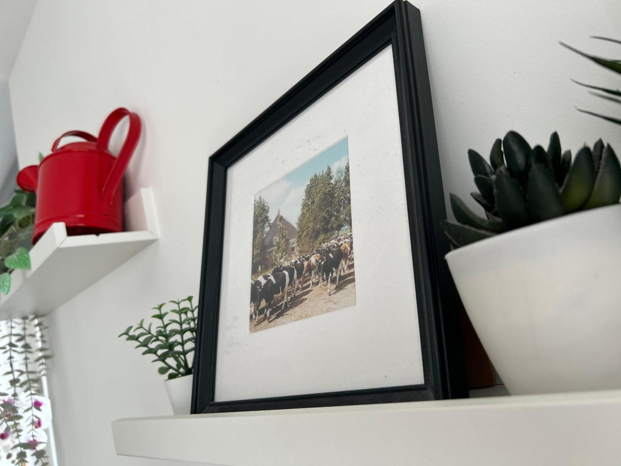 Zunderdorp Bed & Breakfast 2*