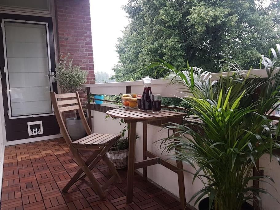 Appartement Entire In Amsterdam