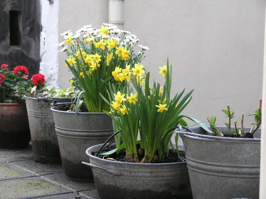 Singel 100 Bed & Breakfast Amsterdam