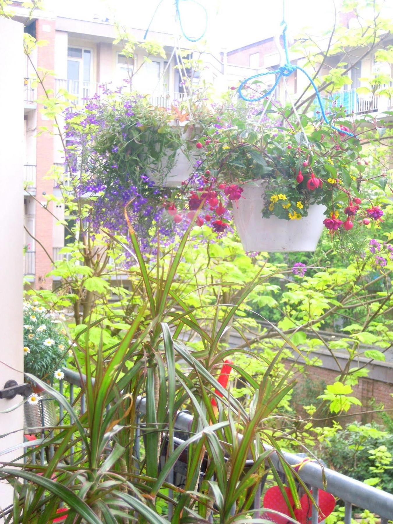 Bed and breakfast Missortelia Ámsterdam
