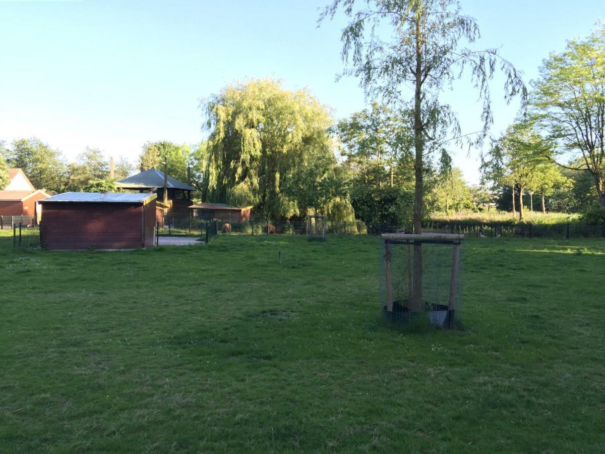 Reigersbos Bed and breakfast