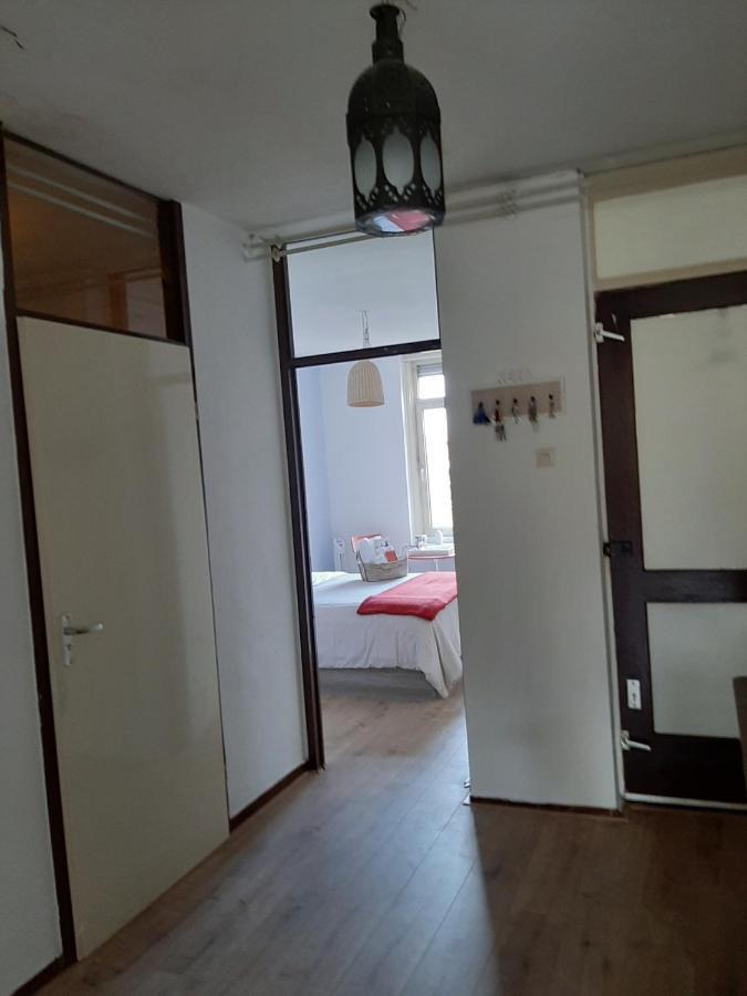Bed & Breakfast El Camino Amsterdam