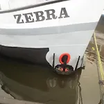 Botel Zebra