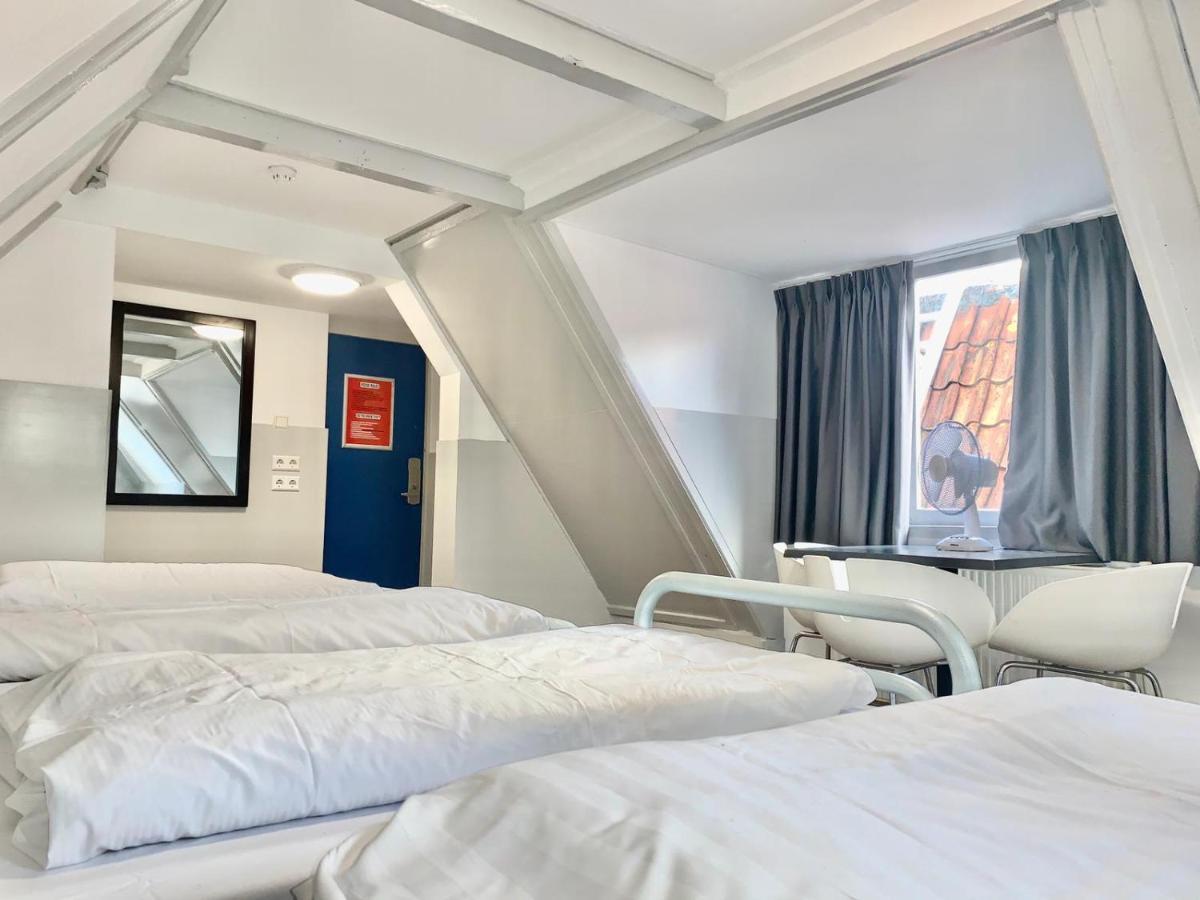 The White Tulip Hostel *
