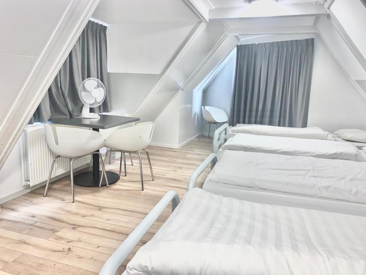 The White Tulip Hostel
