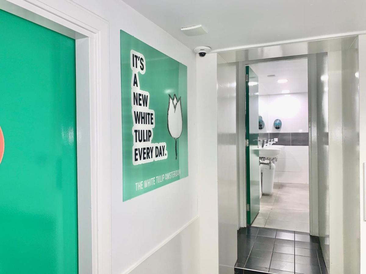 The White Tulip Hostel