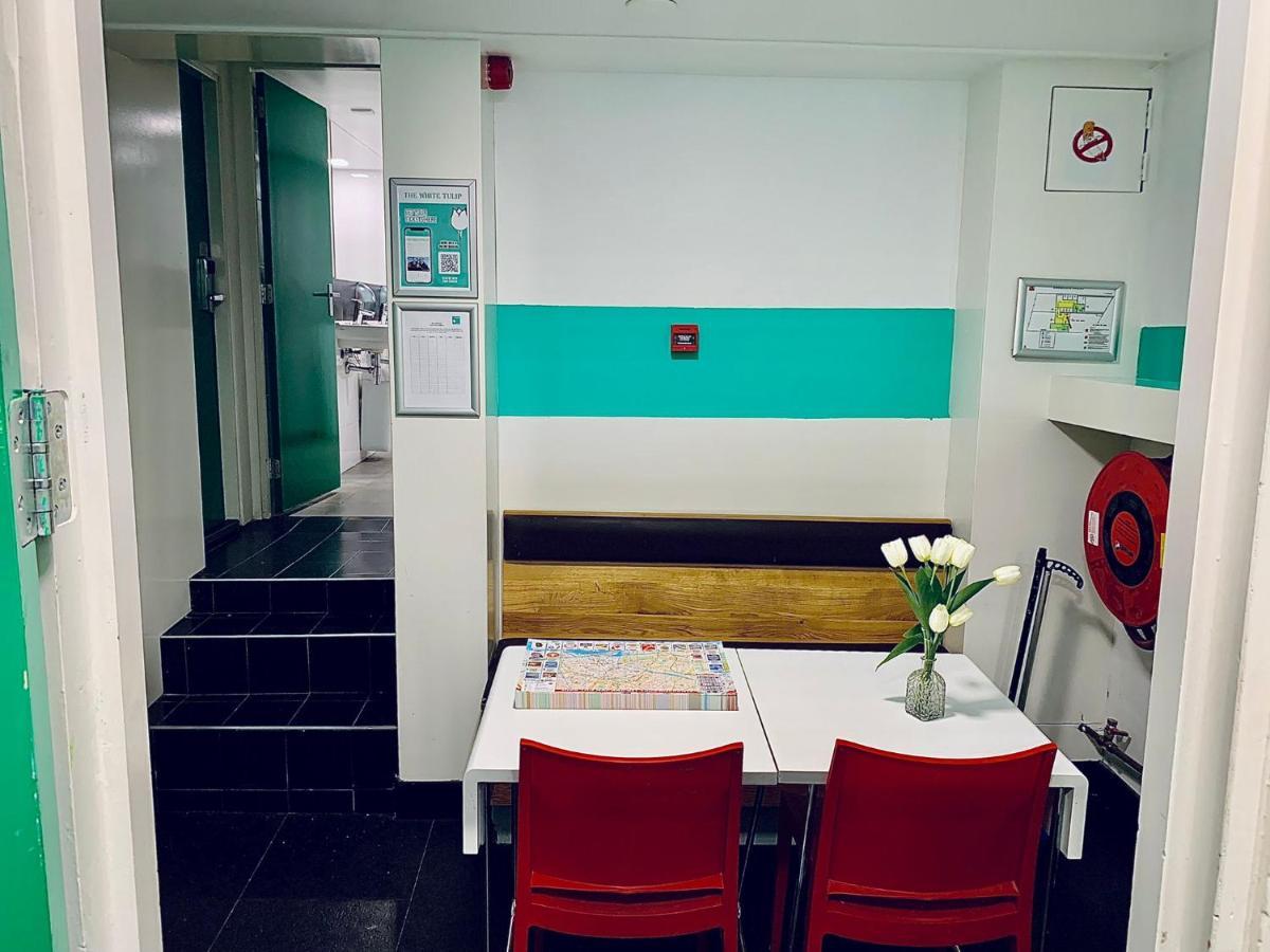 The White Tulip Hostel *