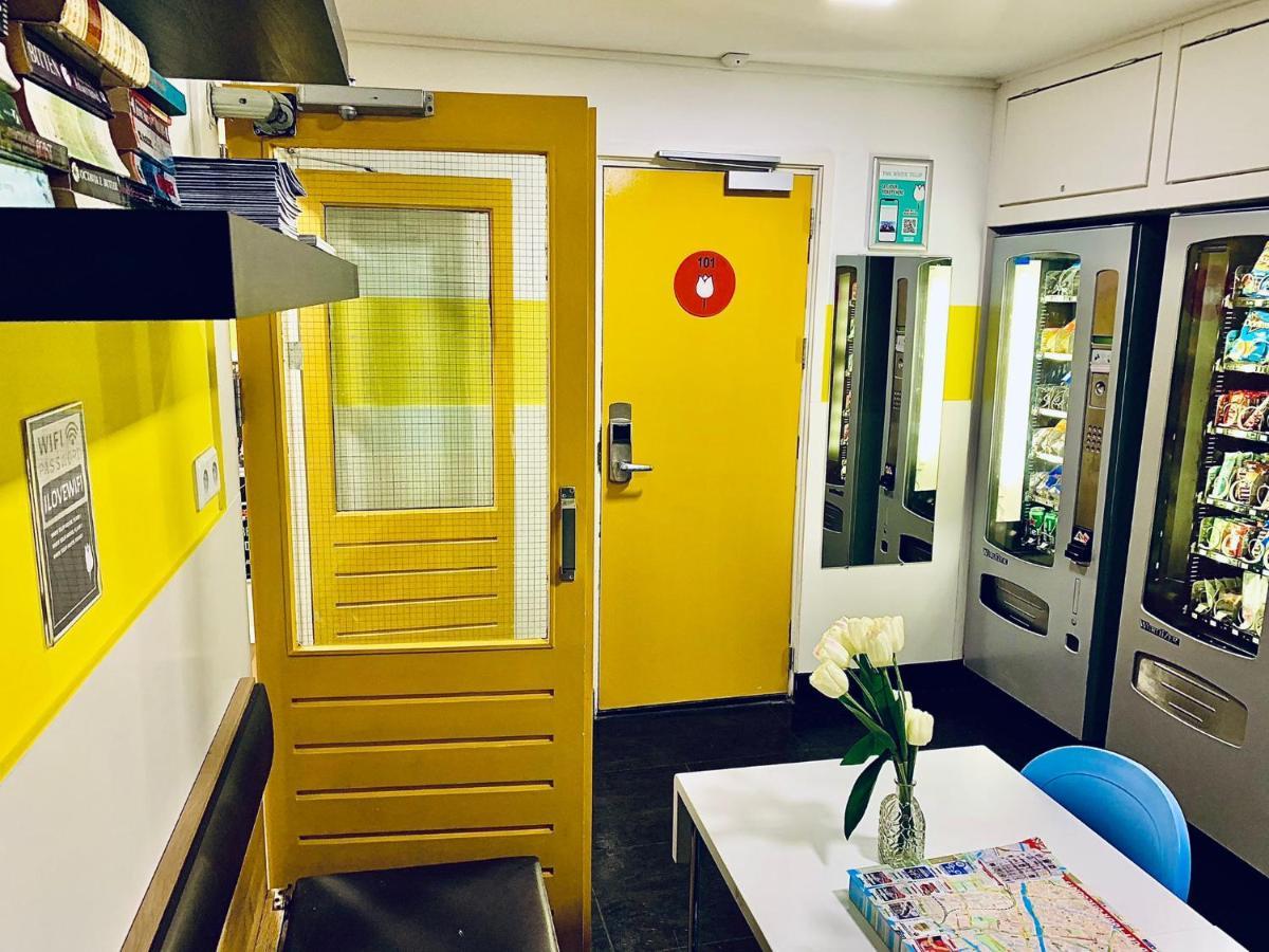 The White Tulip Hostel