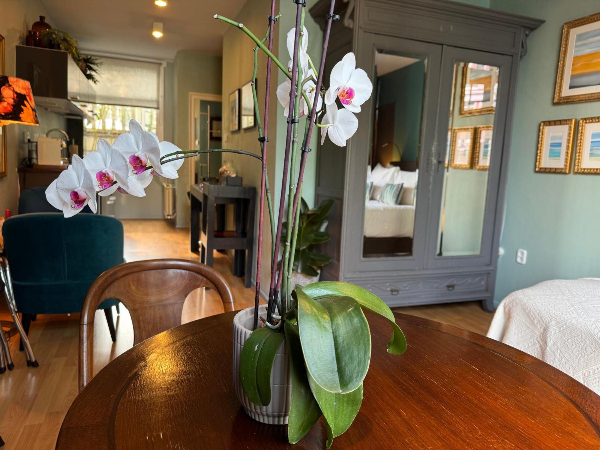 Decor Canal House Amsterdam