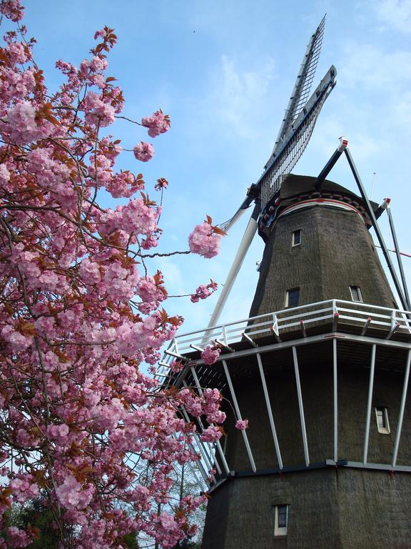 Botel Houseboat Under The Mill