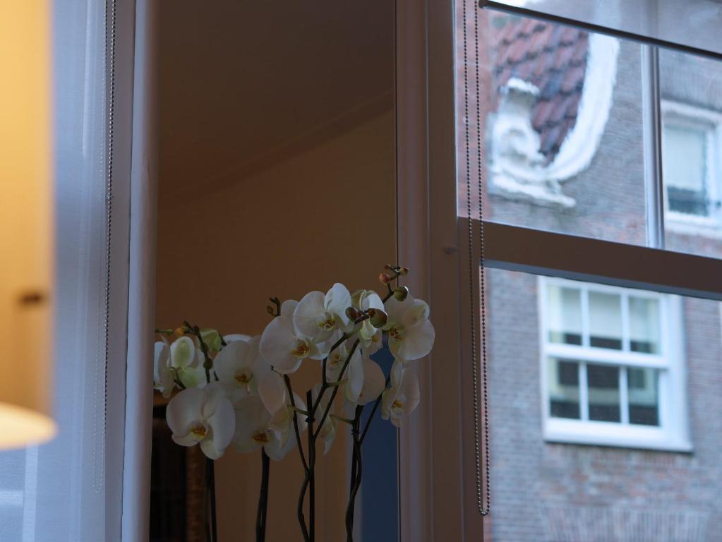 B & B Eye Amsterdam Ámsterdam