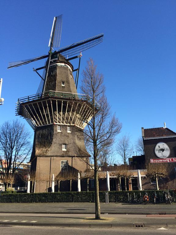 Lounge Park Appartamento Amsterdam
