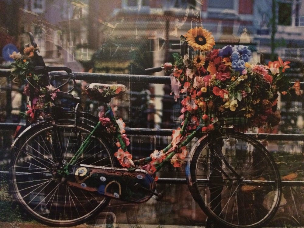 Museum Lane Amsterdam