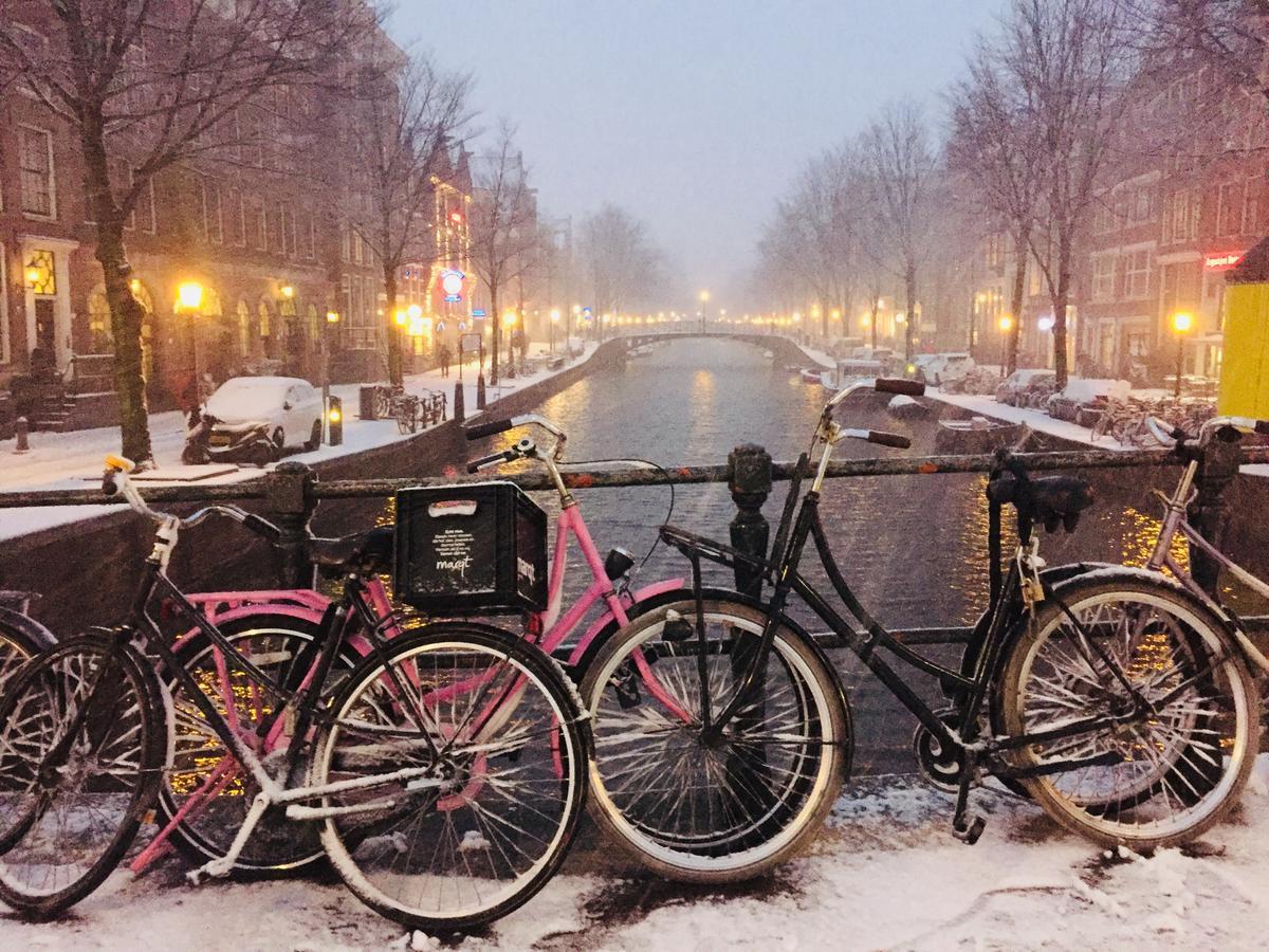 Manikomio Amsterdam