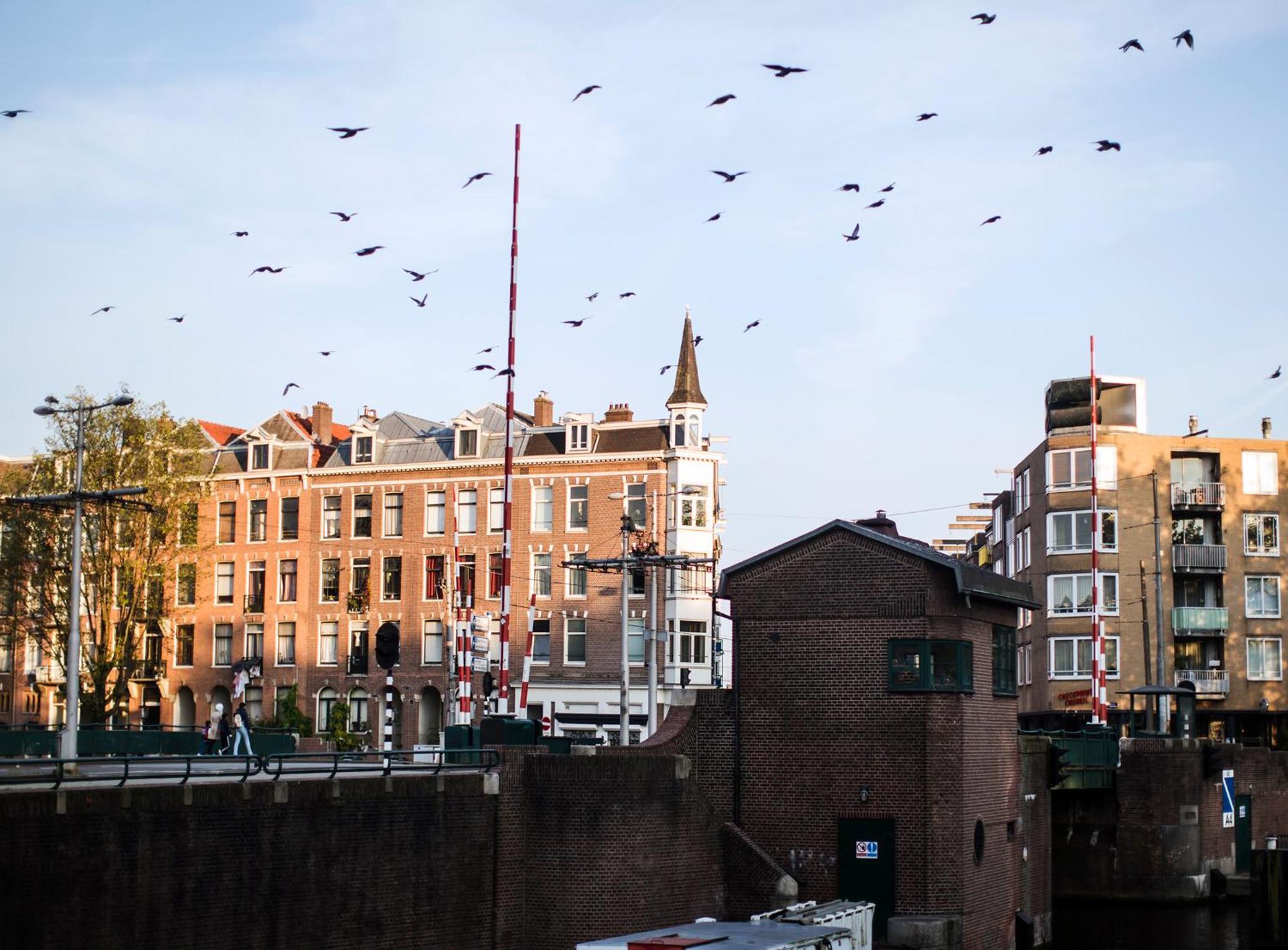 Sweets - Kattenslootbrug Lejlighed Amsterdam