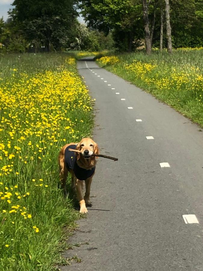 B&B Bloom Frühstückspension